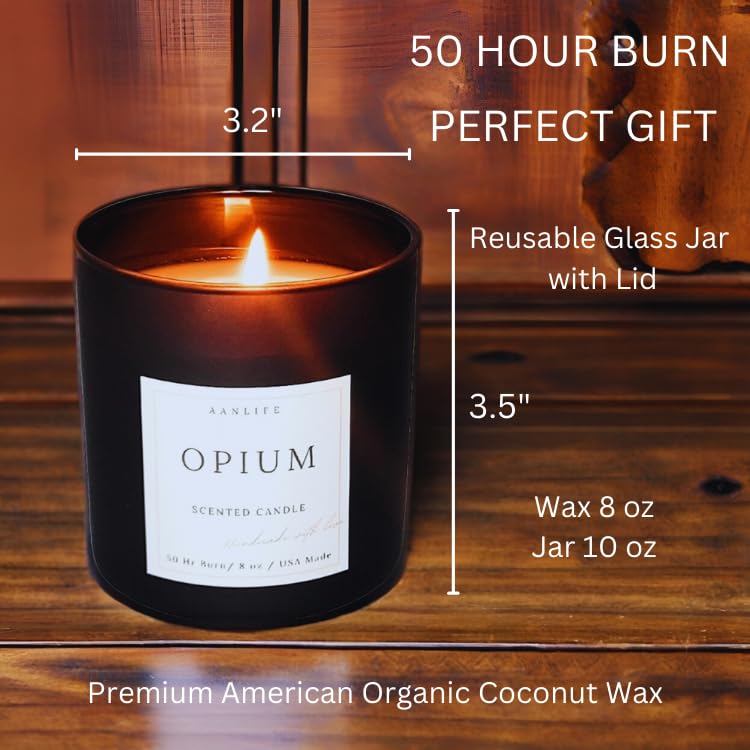 Amazon.com: AANLIFE Scented Candle Sauvage, Elegant Masculine